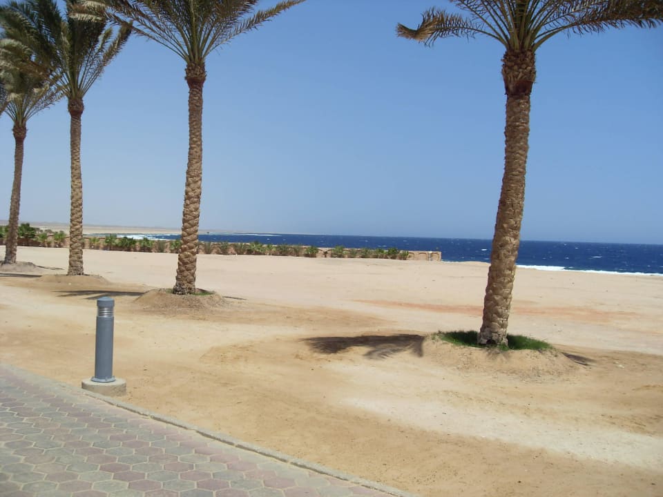 Abseits der Liegen Steigenberger Coraya Beach - Adults only