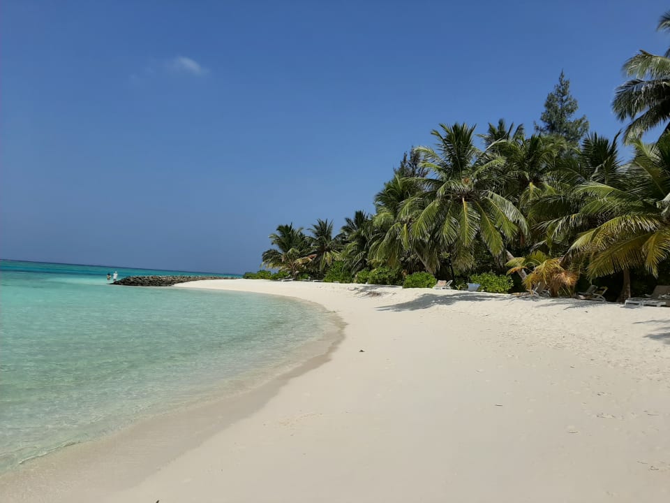 Strand Summer Island Maldives