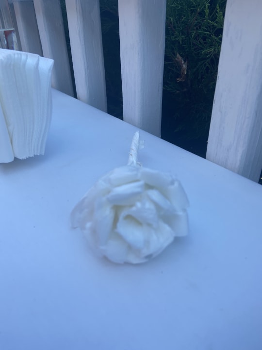 Gastro Can Garden Beach