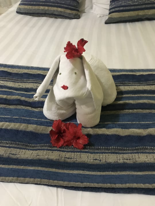 Zimmer Viva Azteca by Wyndham - All Inclusive Resort