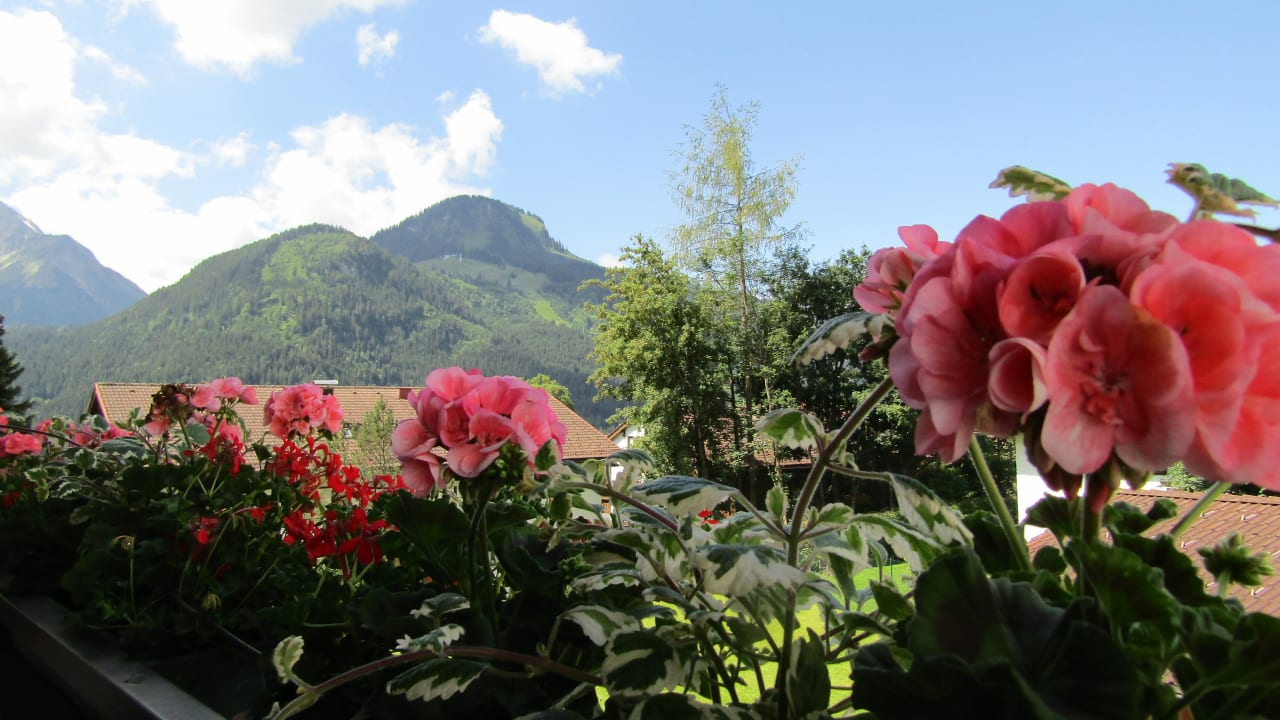 Ausblick Ferienwohnungen Hellarwirt-Hues