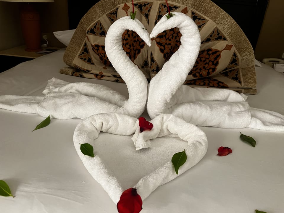 Zimmer Steigenberger Coraya Beach - Adults only