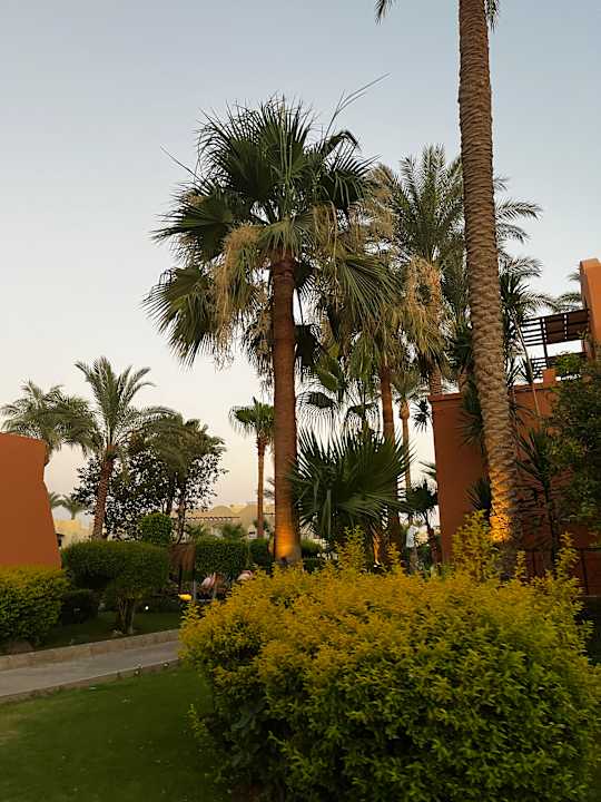 Gartenanlage Hotel JAZ Makadi Star & Spa