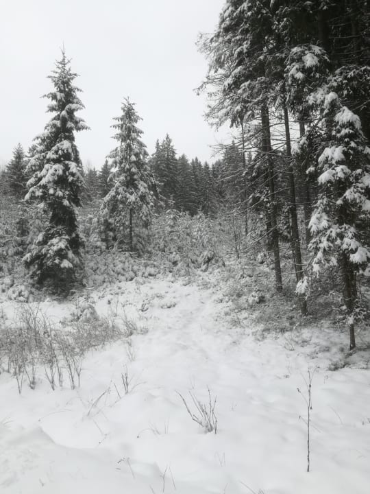 Wandern Hotel Ahornhof