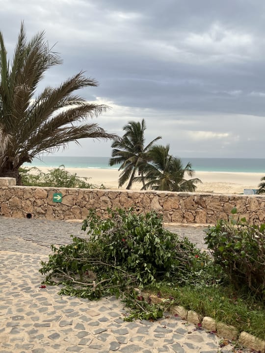 Gartenanlage Occidental Boa Vista Beach