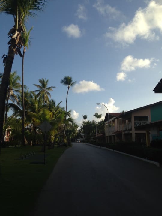 Gartenanlage Grand Palladium Punta Cana Resort & Spa
