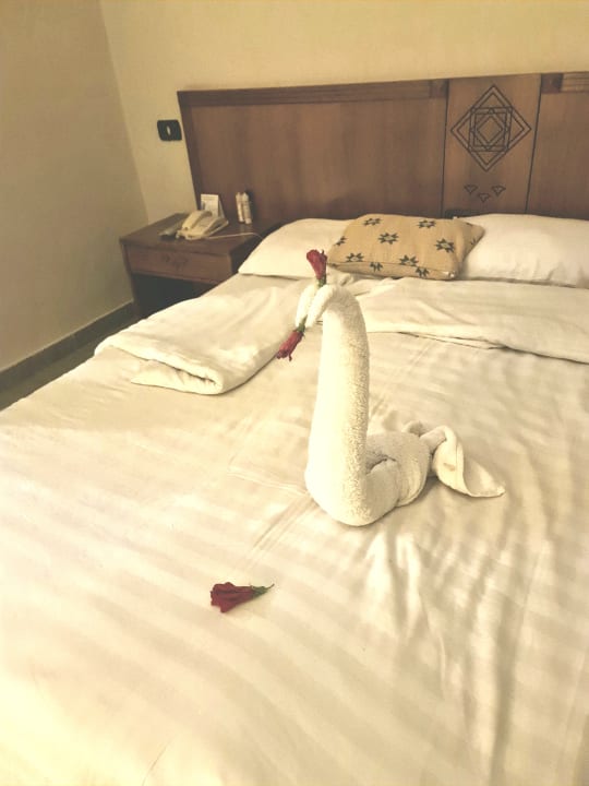 Zimmer Three Corners Equinox Beach Resort