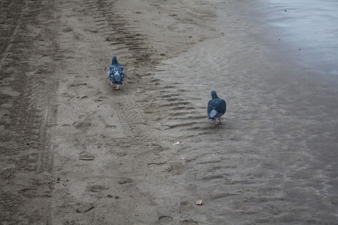 Süss Abora Buenaventura by Lopesan Hotels