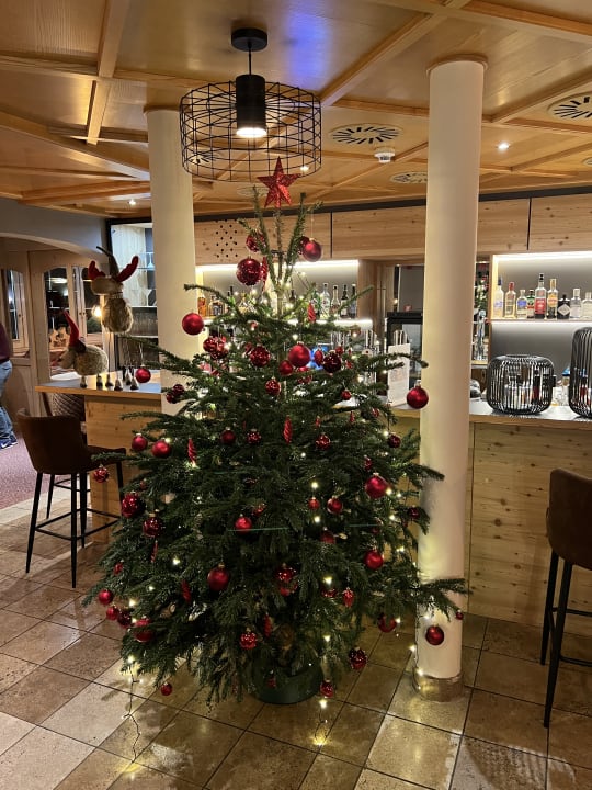 Sonstiges Hotel Andy