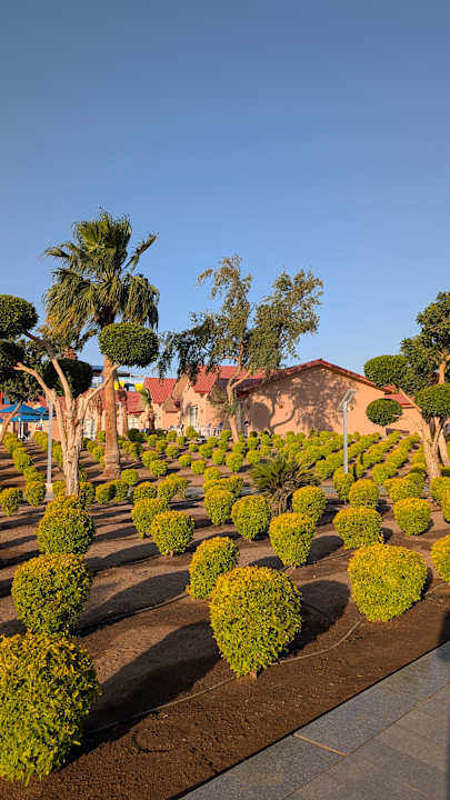Sonstiges Pickalbatros Alf Leila Wa Leila Resort - Neverland Hurghada