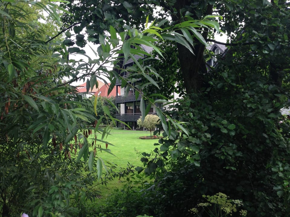 Im Hotelgarten Hotel an der Ilse