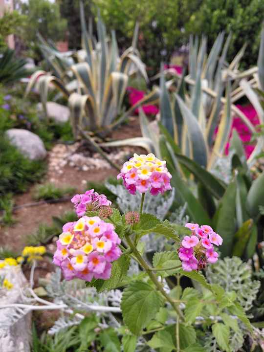 Gartenanlage Megasaray Club Belek