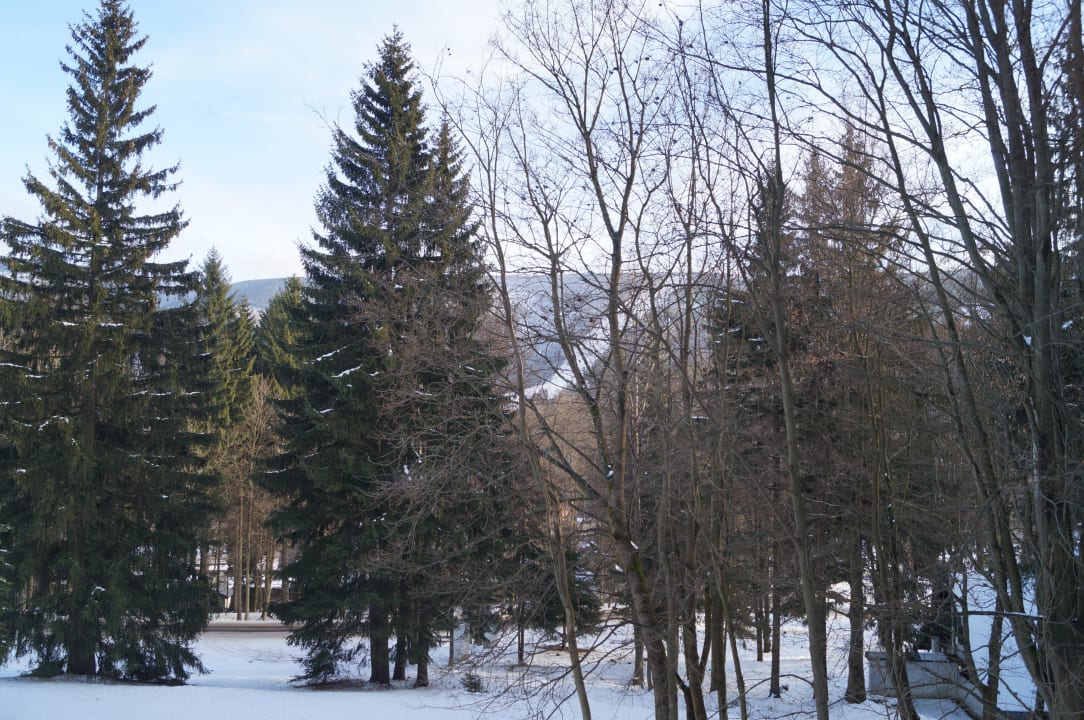 Blick vom Balkon Hotel Montana
