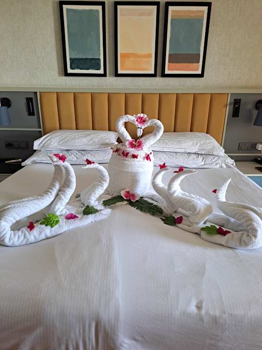 Zimmer Arum Barut Collection