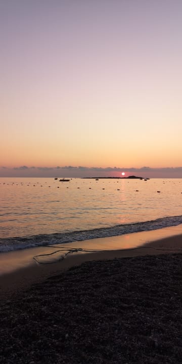 Strand Arycanda Kirman Premium