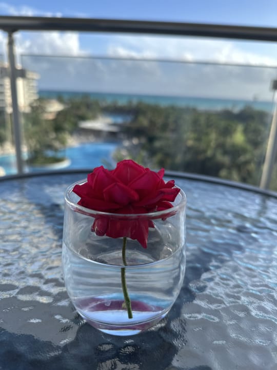 Sonstiges Seaden Sea World Resort & Spa