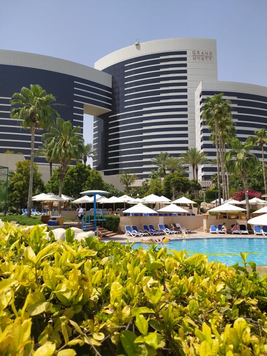 Pool Grand Hyatt Dubai