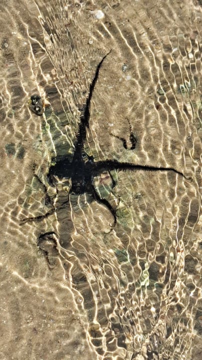 Sonstiges Cleopatra Luxury Resort Makadi Bay