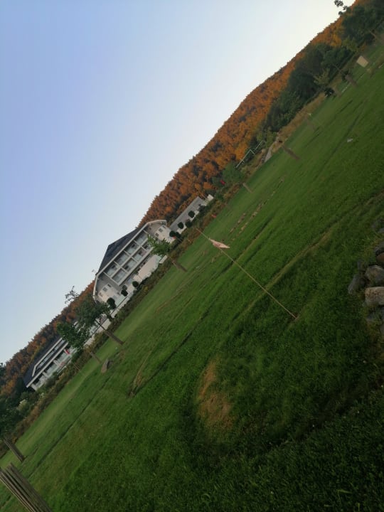 Ausblick AIGO welcome family