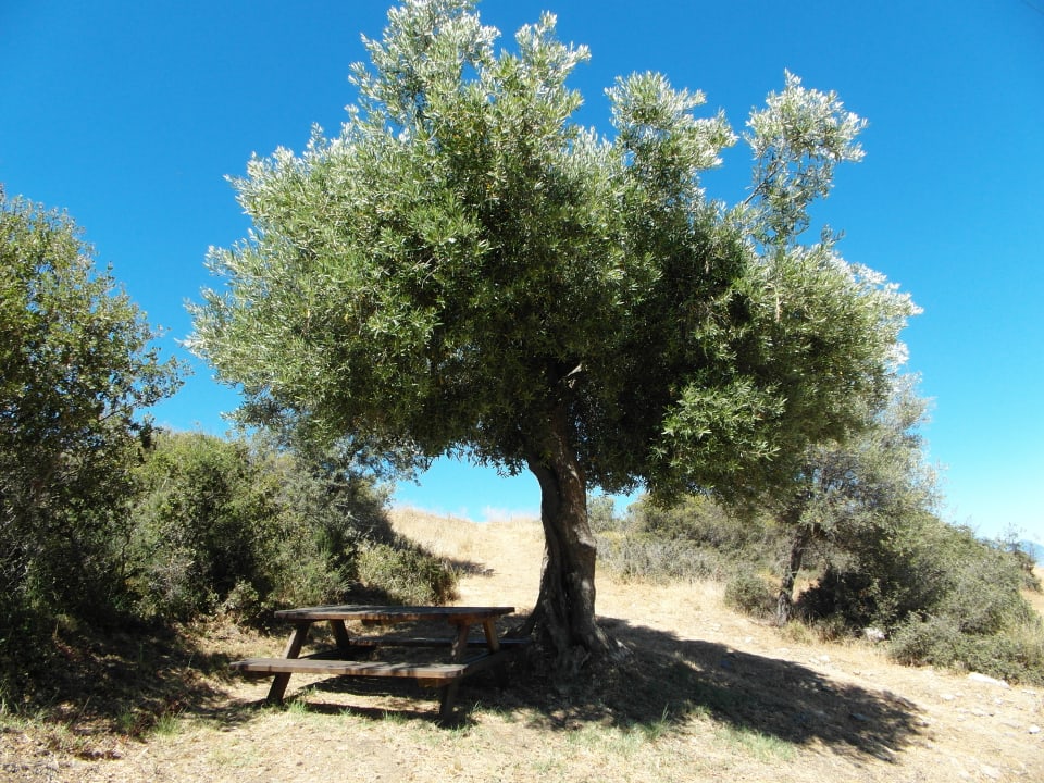 Gartenanlage GreenHill Holiday Suites Sarti