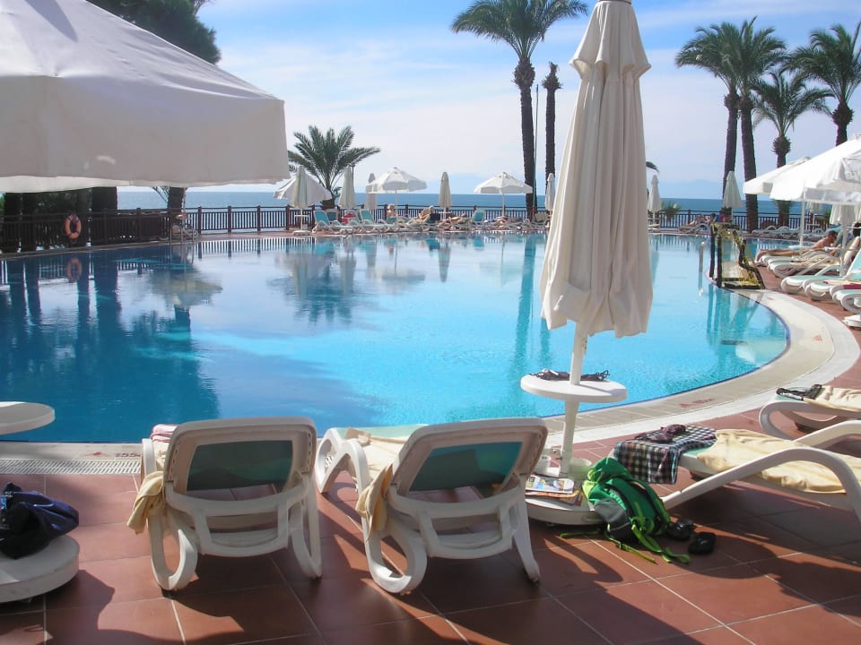 Pool 3 PALOMA Perissia