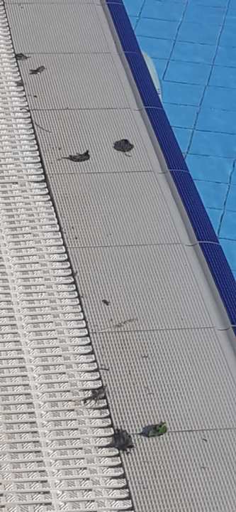 Pool Karya Family Resort  All Inclusive