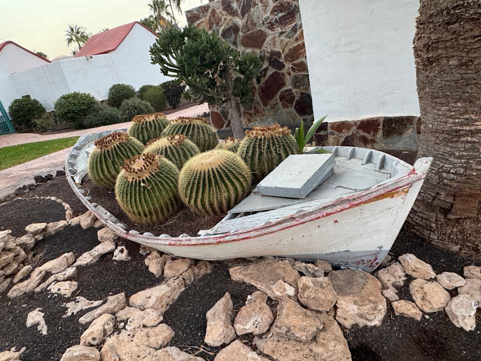 Gartenanlage Aldiana Club Fuerteventura