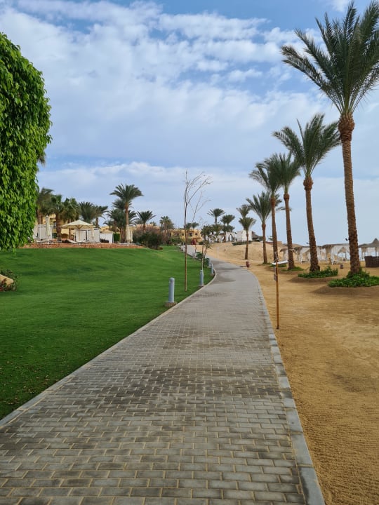 Gartenanlage Steigenberger Coraya Beach - Adults only