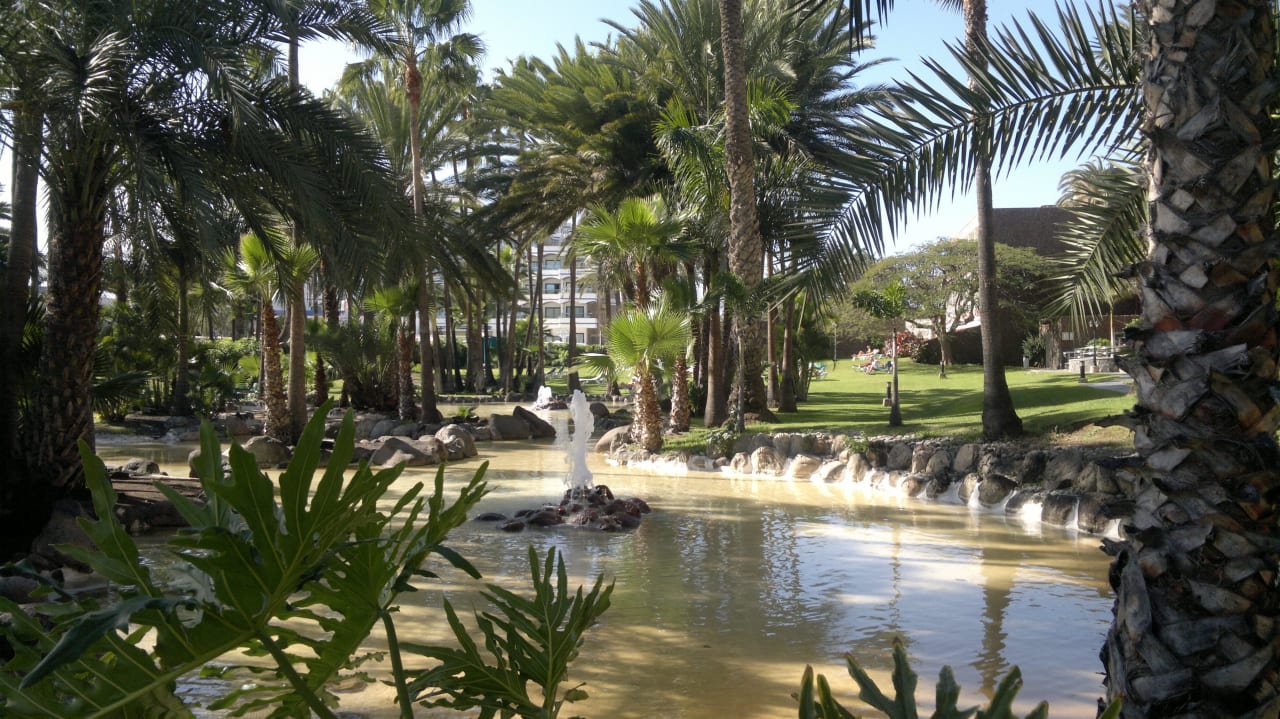 Vordere Gartenseite Hotel Riu Palace Oasis