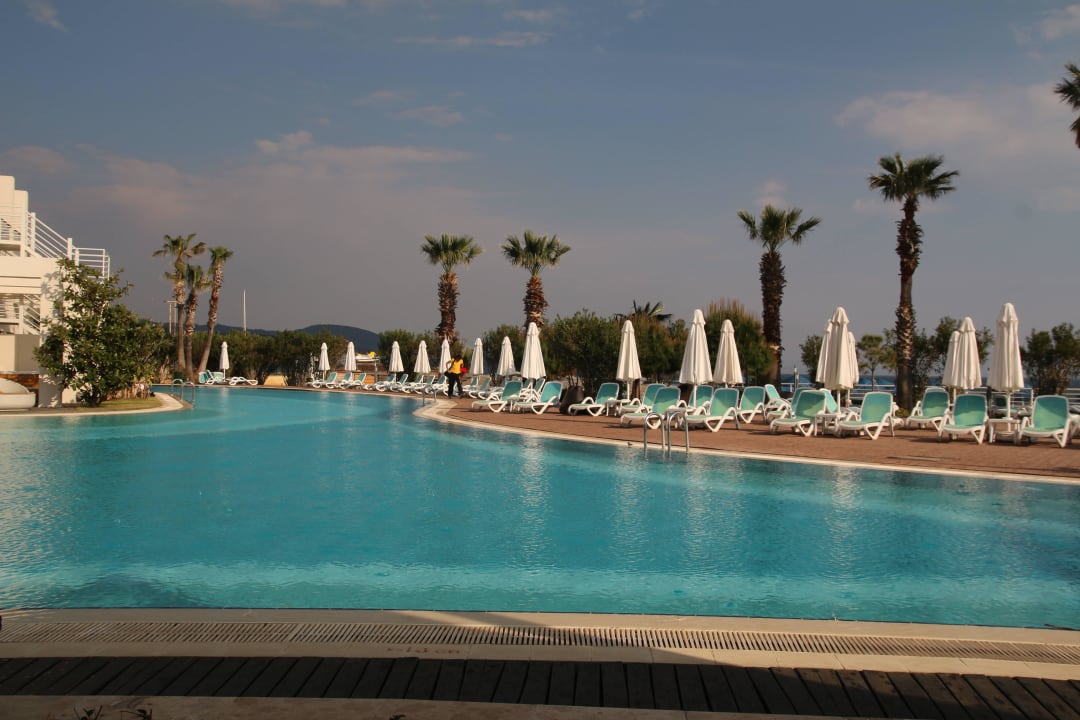 Der Pool  Paloma Pasha