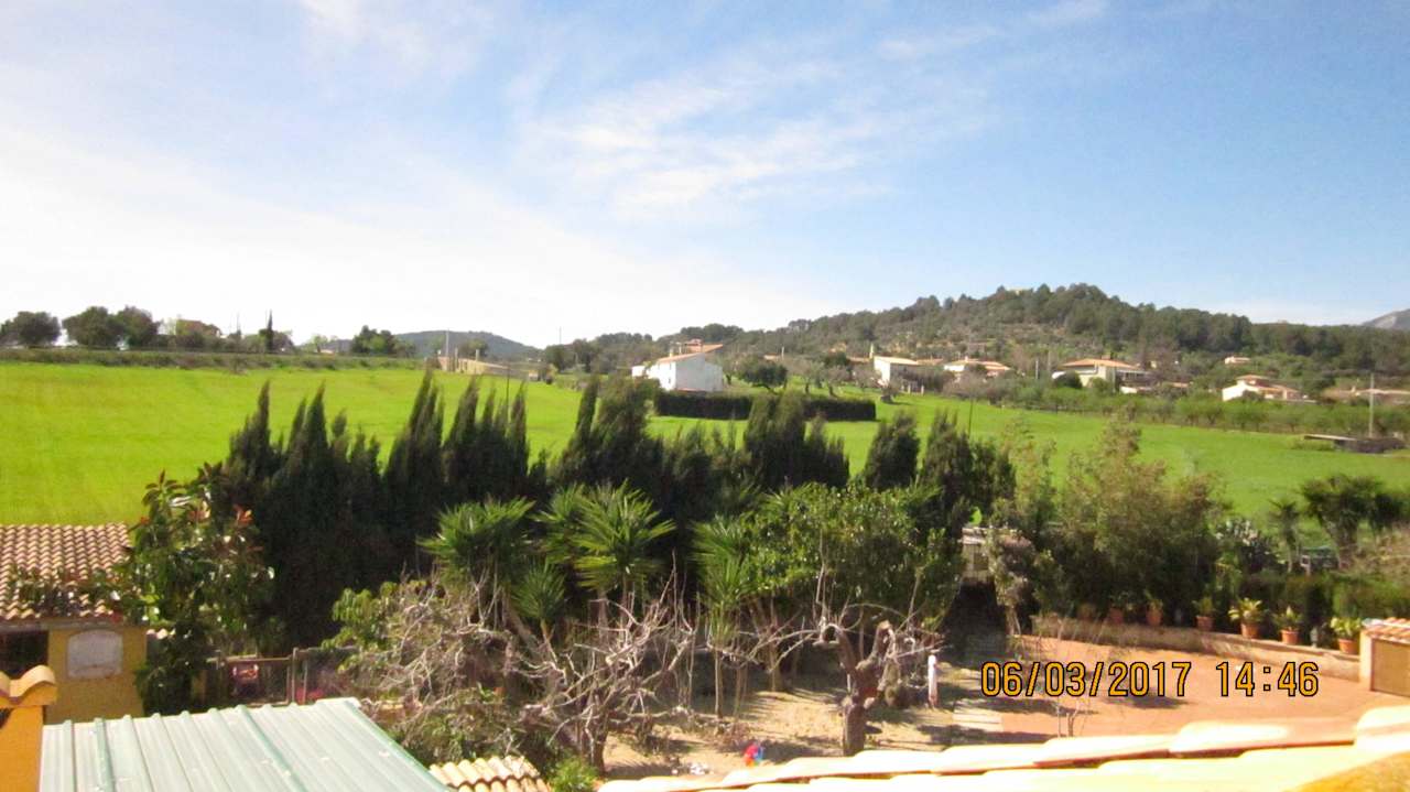 Blick über das angrenzende Feld zur Landstraße Finca Cas Pec
