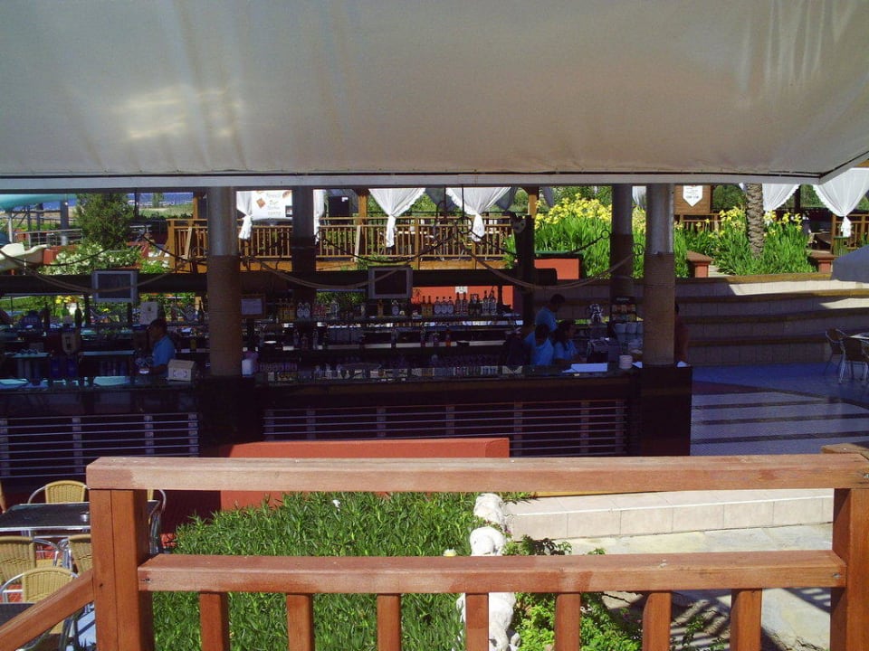 Poolbar Hotel Delphin Diva