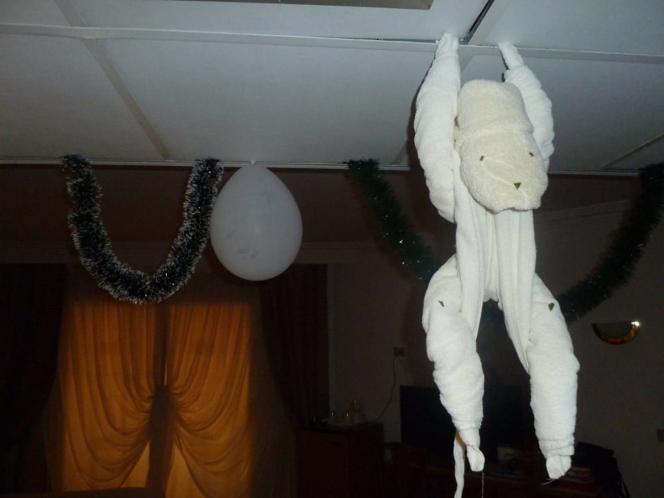 Überraschung Beach Albatros Resort