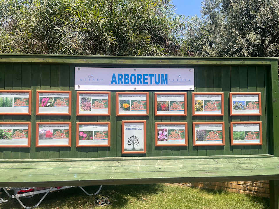 Gartenanlage Ali Bey Club