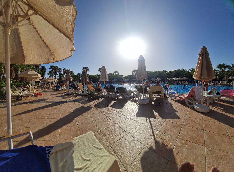 Pool Seaden Sea World Resort & Spa