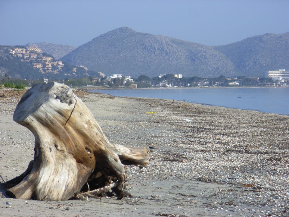 Strand in der Nähe des Hotels PortBlue Club Pollentia Maris