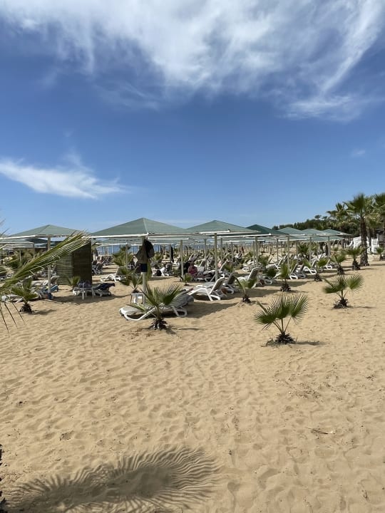Strand Paloma Oceana