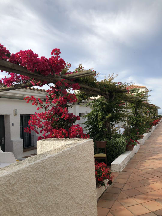 Gartenanlage Hotel Playa de la Luz