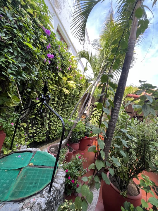 Gartenanlage Hotel Tres Banderas