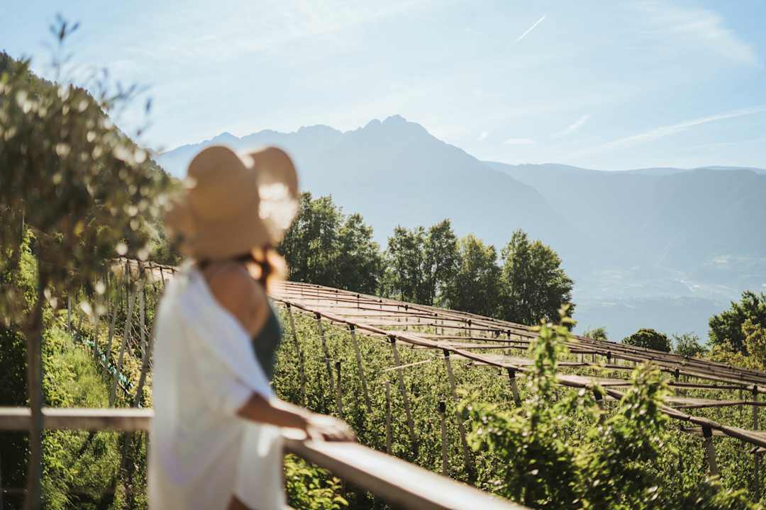 Ausblick Hotel Niedermair