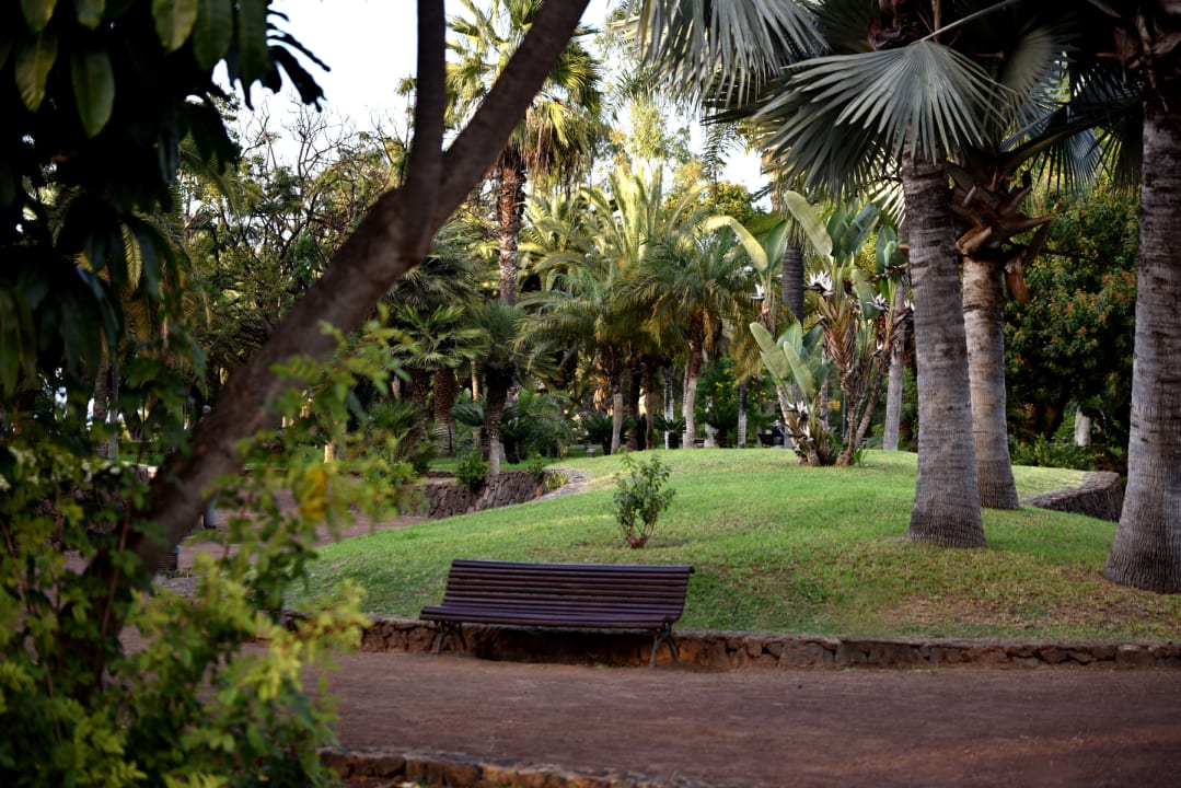 Gartenanlage TRH Taoro Garden