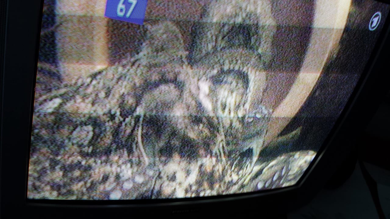 Tv aus steinezeit MPM Hotel Kalina Garden