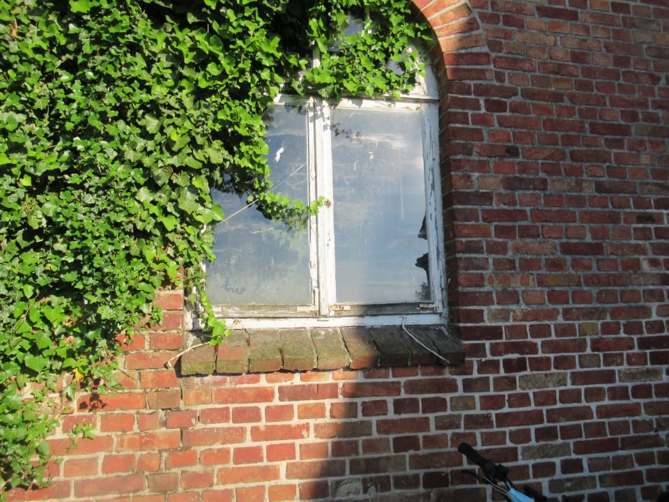 Sonstiges Haus Tarnewitz