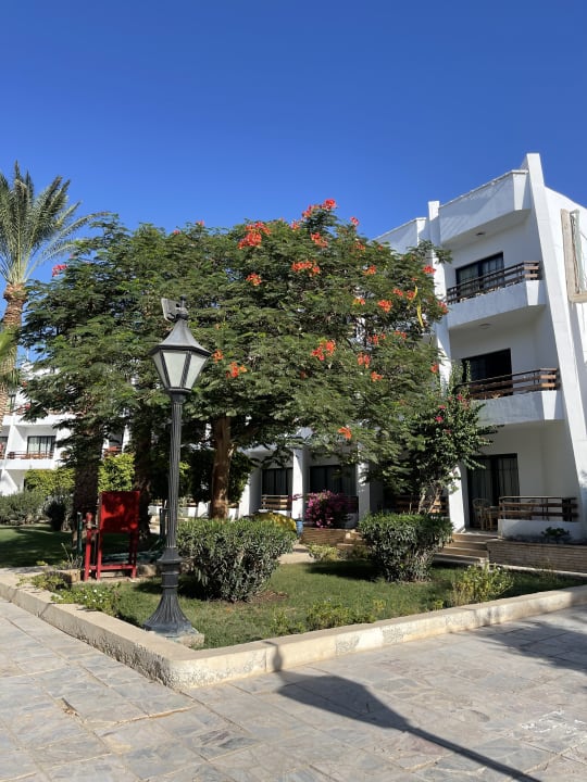 Gartenanlage The Grand Palace - Adults only