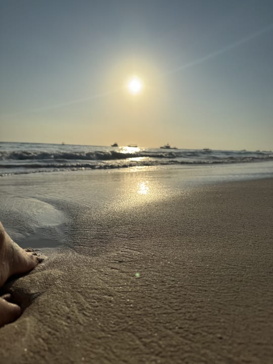 Strand Grand Palladium Punta Cana Resort & Spa