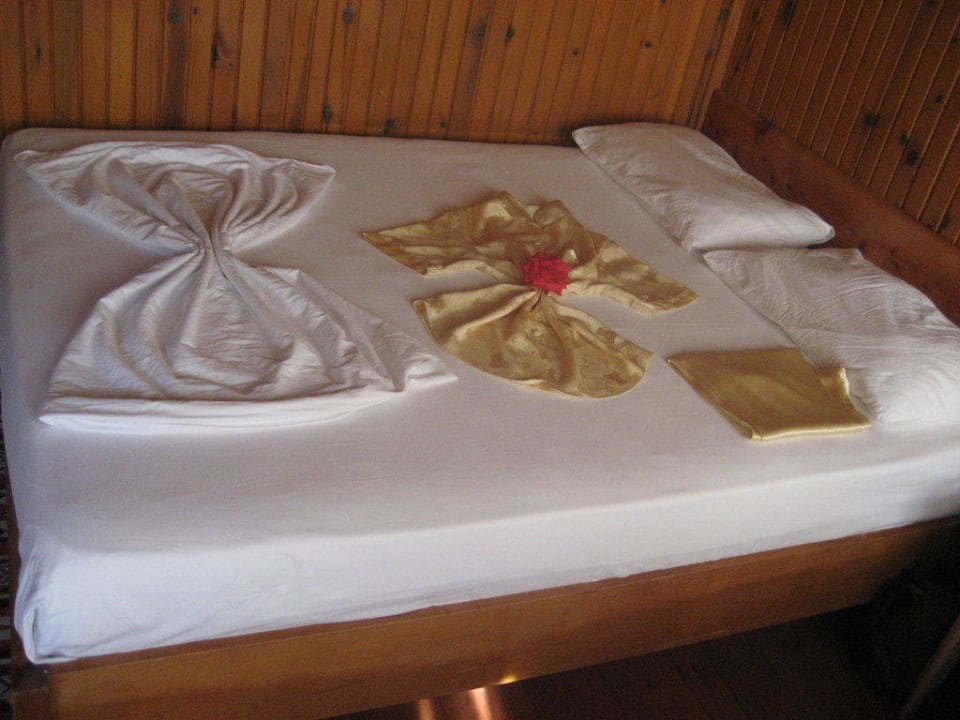 Bett Clover Magic Nova Beach