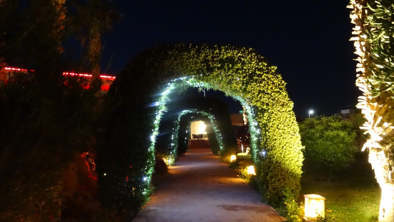 Gartenanlage Lotus Bay Beach Resort