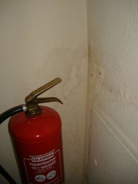 Impression verschimmelter Flur IntercityHotel München