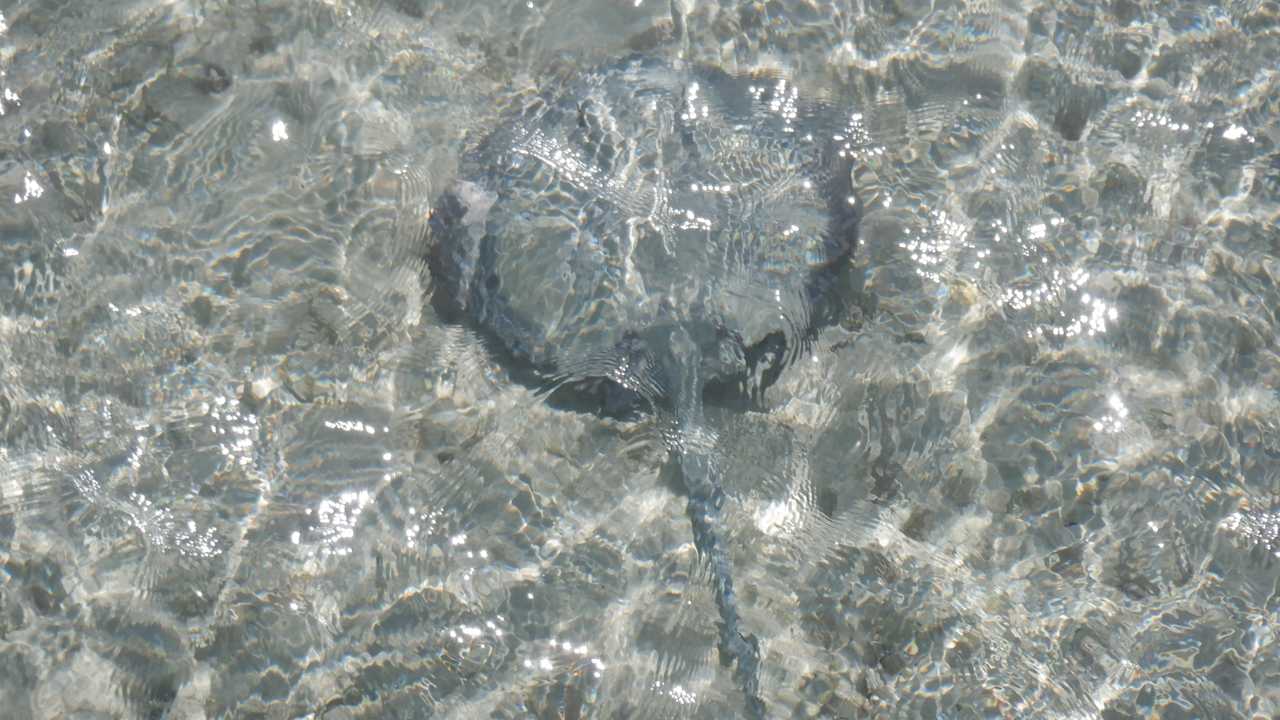 Strand Casa Mare Resort