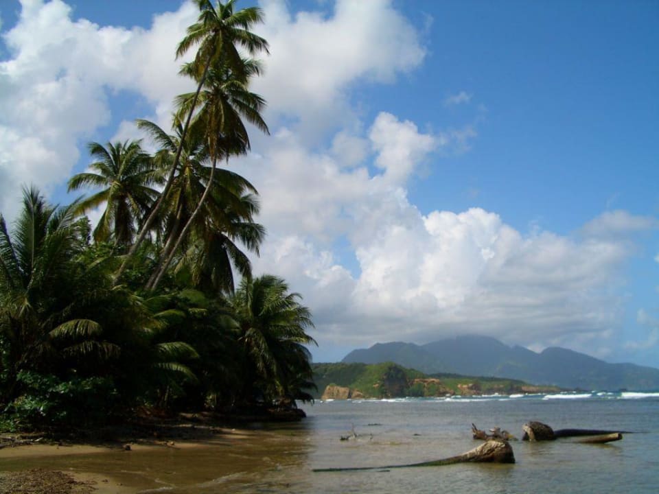 Calibishie Coast Hotel Calibishie-Lodges